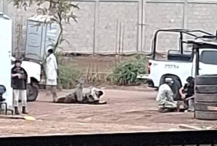 Suman tres oficiales muertos tras altercado en cuartel militar de Agüilla; detienen a presunto elemento responsable