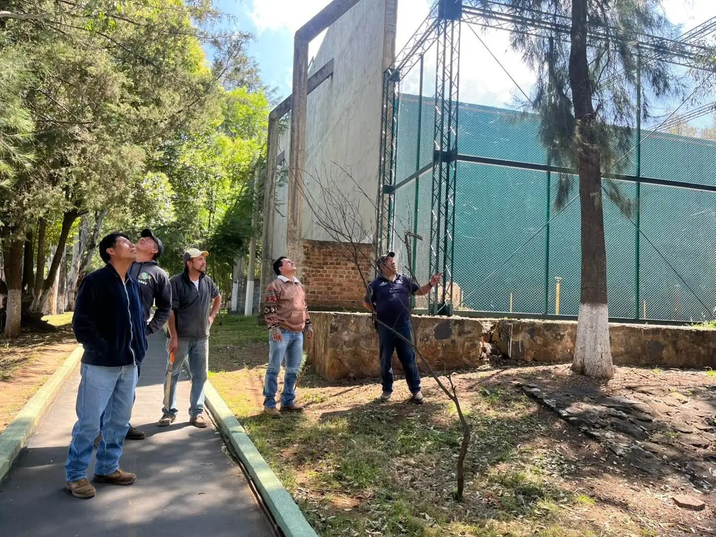 Supervisa Ayuntamiento de Quiroga estado de los árboles en la Unidad Deportiva para preservar las áreas verdes