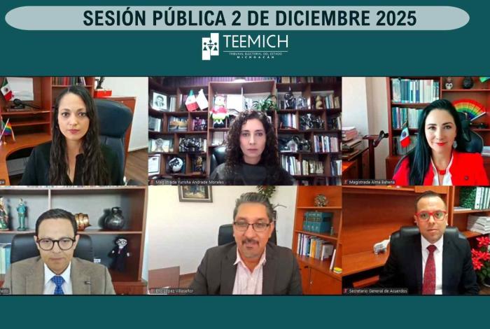 TEEMICH confirma resultados de la consulta en San Miguel del Monte