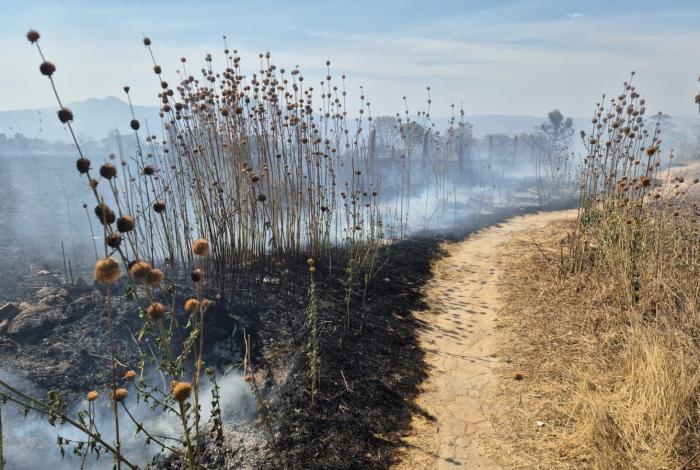 Temporada de incendios 2025, complicada para Morelia