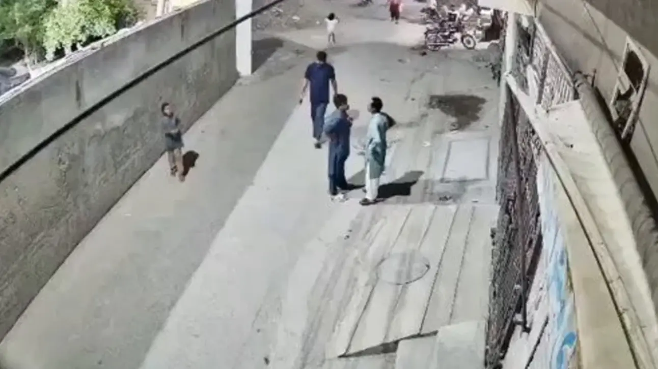 ¡Terror en las calles! León escapa de casa y ataca a madre e hijos en Pakistán
