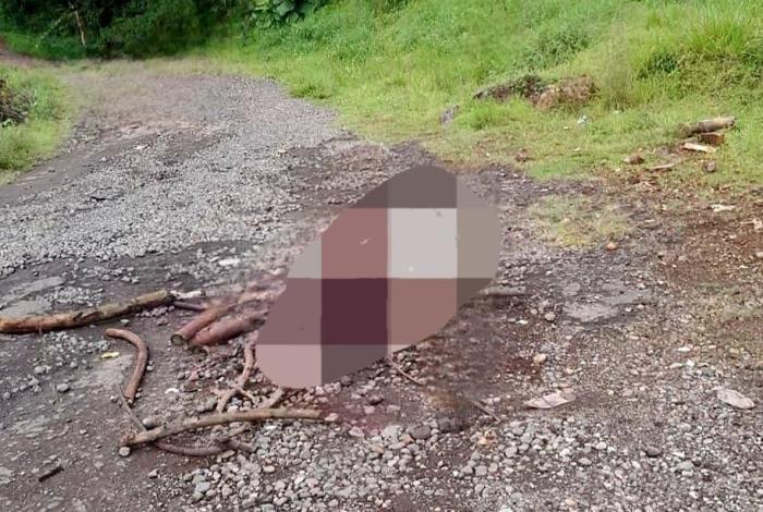 Tingambato: encuentran cuerpo de hombre que fue golpeado