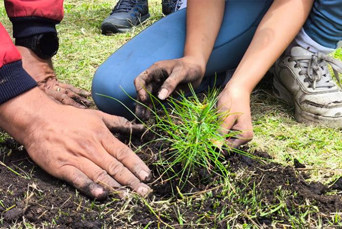 ¡Todo México a reforestar el 9 de agosto! Morelia participa en esta jornada nacional
