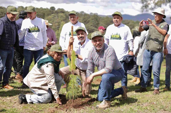 ¡Todos, manos a los árboles! Bedolla arranca reforestación estatal