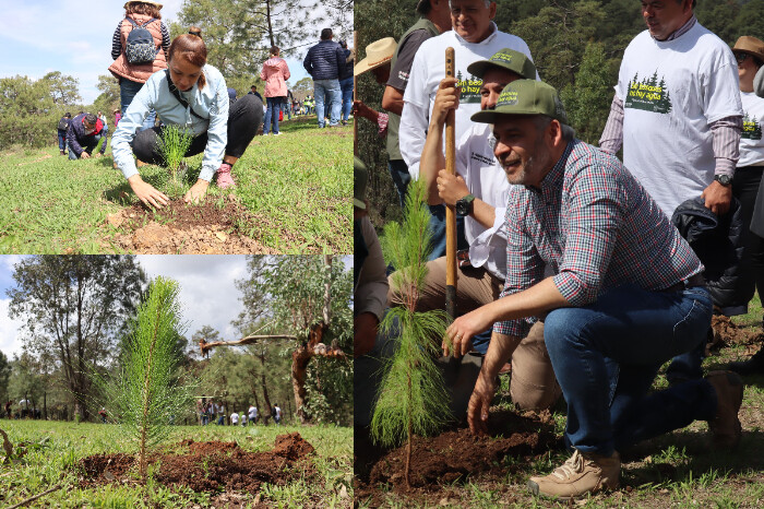 ¡Todos, manos a los árboles! arranca la reforestación estatal en Morelia