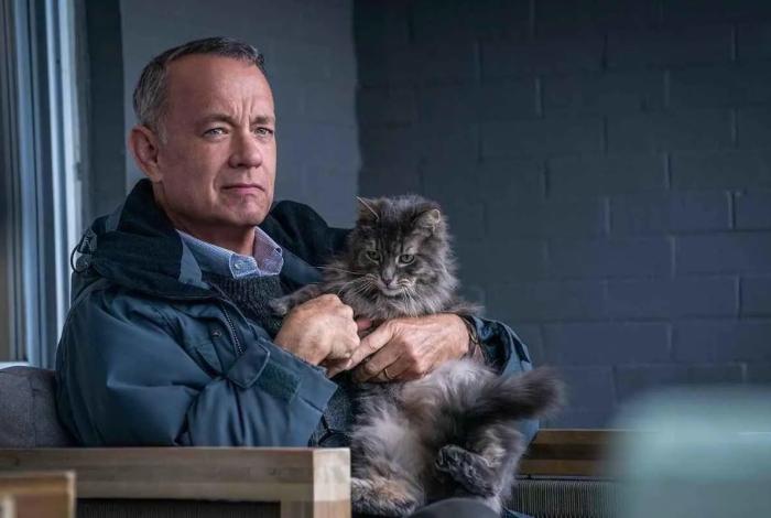 Tom Hanks y Mariana Treviño: la película de comedia en Netflix que te hará reír… hasta que te rompe el corazón