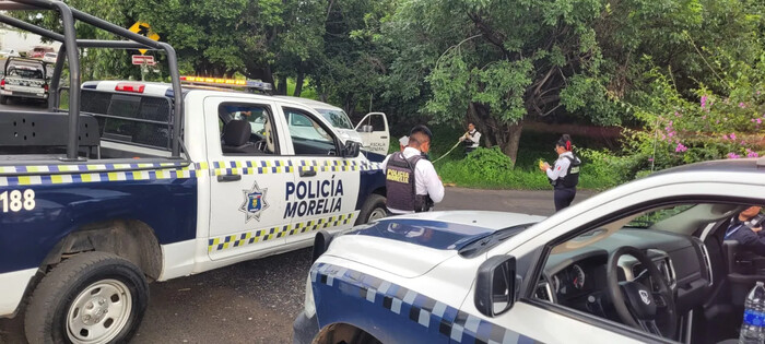 Trágico suicidio en Morelia: Persona hallada colagada de un árbol