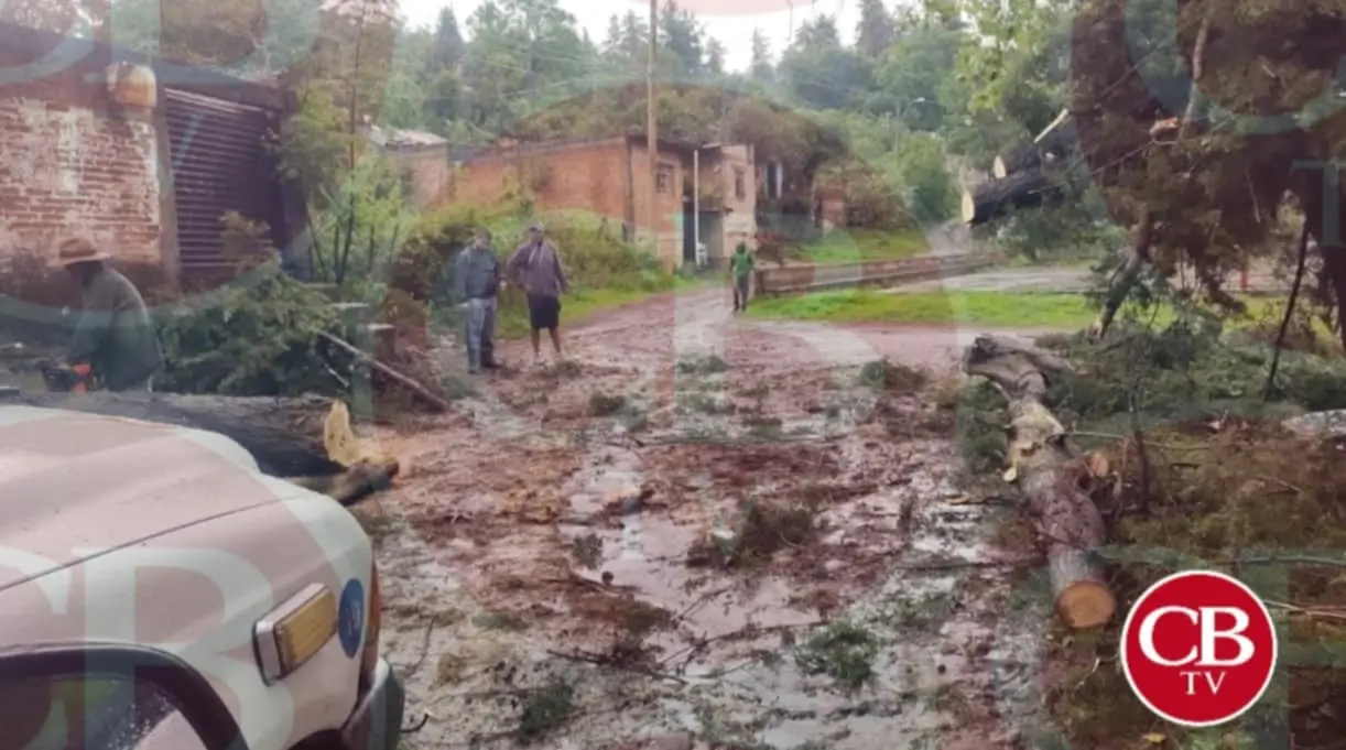 Tromba azota Zinapécuaro y deja árboles caídos