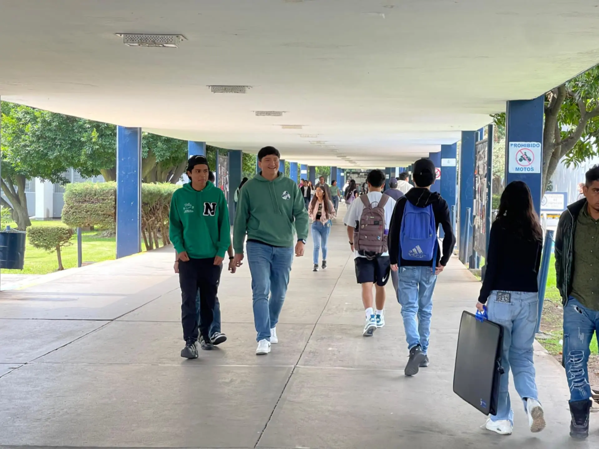 UMSNH analiza creación de licenciatura en laudería