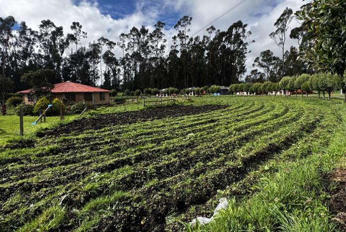 Un banco de semillas lucha contra el hambre en un resguardo indígena de Colombia
