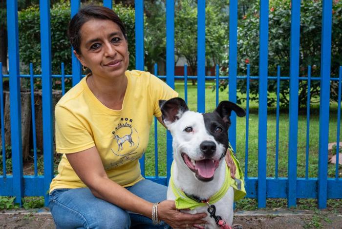 Un paseo puede cambiar su historia: lomitos buscan hogar en el Parque 150