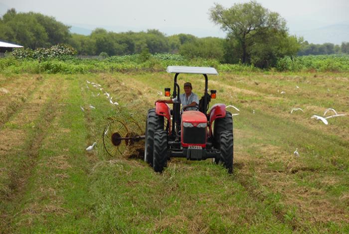 Unión de agricultores mexicanos advierten "catástrofe alimentaria" por aranceles de EUA