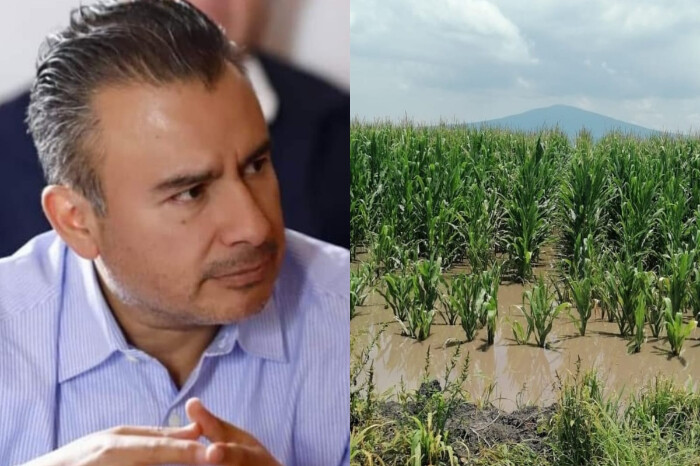 Urge atención a productores agrícolas por inundaciones en Michoacán: Fidel Calderón Torreblanca