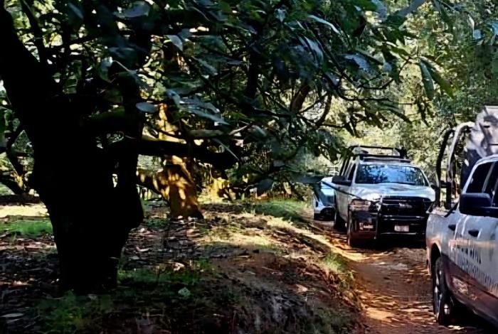 Uruapan: encuentran a mujer deg0ll4d4 en huerta de aguacate