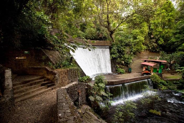 Uruapan te espera, descubre la belleza natural de su parque nacional