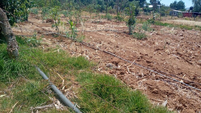 Va Pátzcuaro contra obras hídricas irregulares