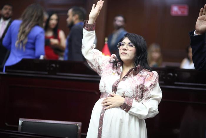 Vanhe Caratachea presenta iniciativa para proteger de violencia de género a madres jefas de familia