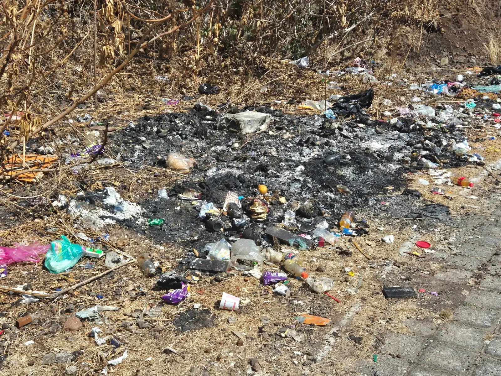 Vecinos denuncian acumulación de basura en fraccionamiento Campo Nubes