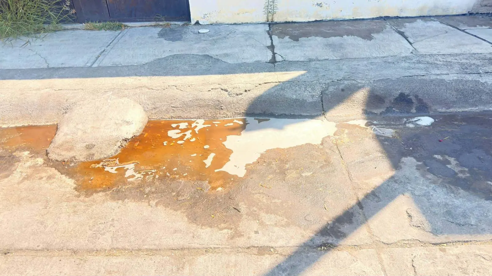 Vecinos denuncian insalubridad por desechos de mascota en Loma Real