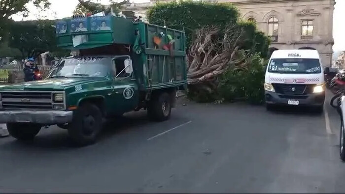 Vehículo recolector de basura sufre choque contra árbol en Plaza de Armas de Morelia