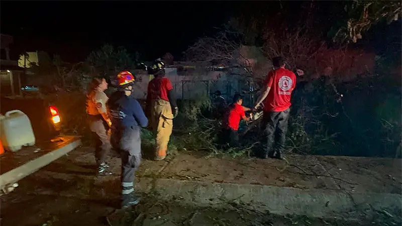 Vendedor de elotes muere tras caida de árbol durante una tormenta en Xalisco.