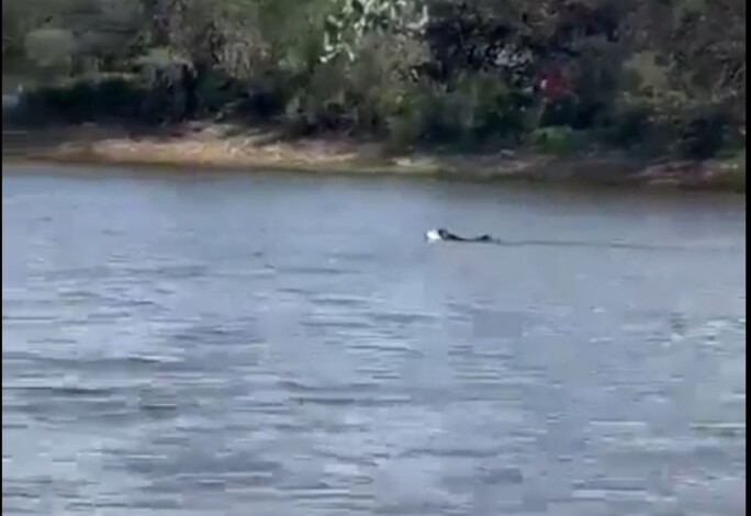 #Video | Adolescente pierde la vida en una presa de la comunidad de Tanque del Borrego