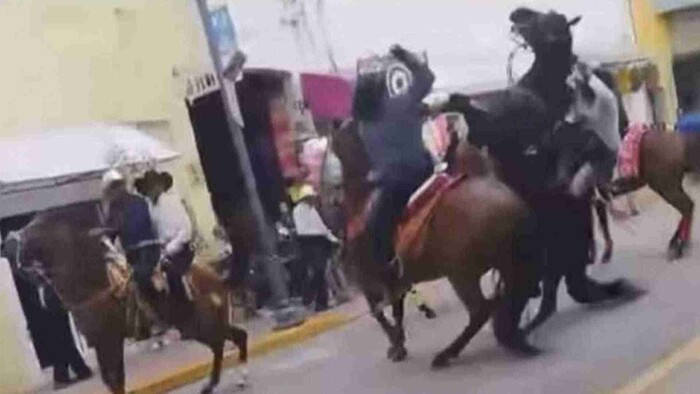 Video: Atacan a machetazos a un jinete y su caballo durante desfile en Tlaxcala