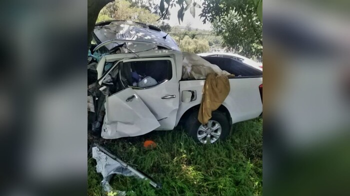 #Video | Choca camioneta contra árbol en la Morelia-Pátzcuaro; hay 3 muertos y una herida