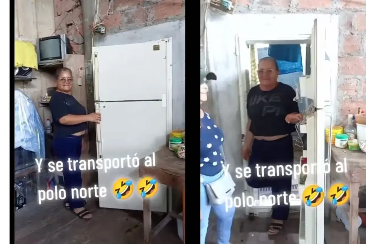 #Video: Convierten la puerta del refrigerador en la puerta del baño