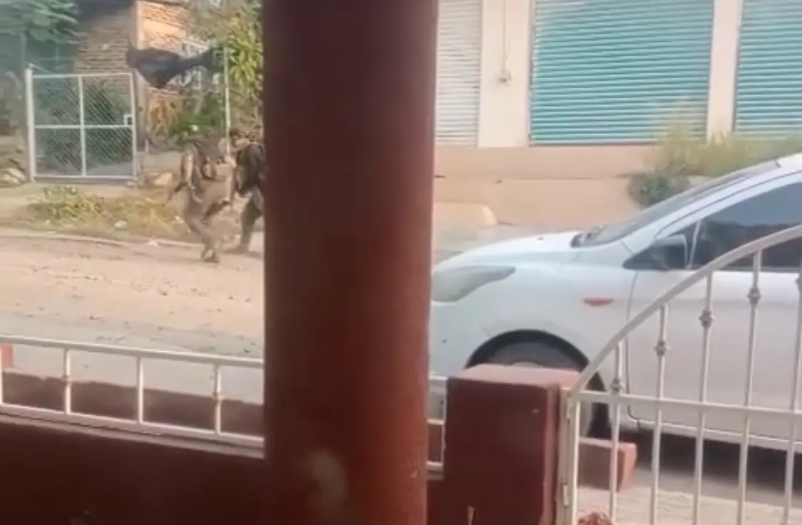Video: Delincuentes se agarran a balazos en Tepalcatepec