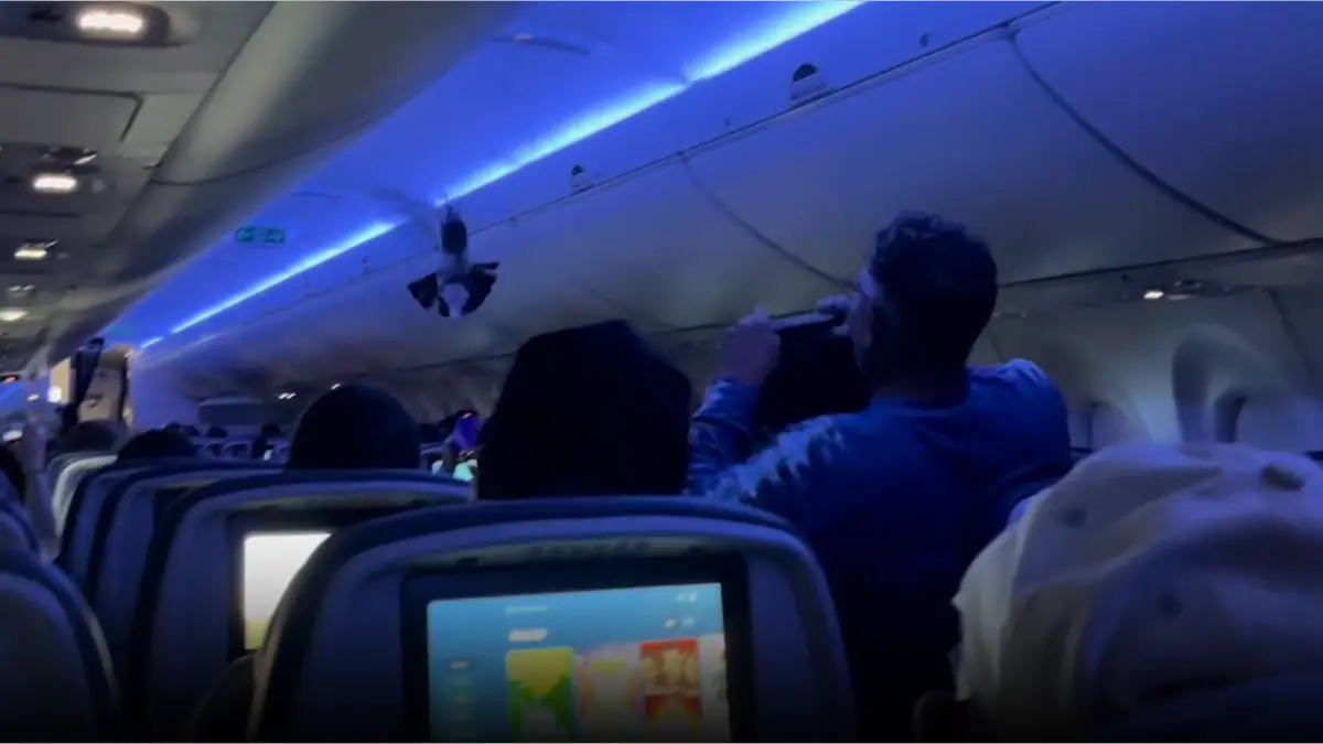 #Video: Palomas se infiltran en un avión de la aerolínea Delta