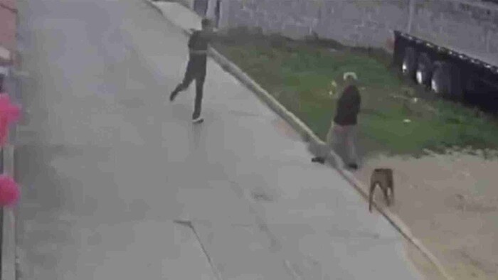 Video: Perro ataca y le destroza las piernas a una mujer en Hidalgo