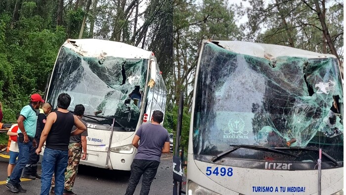 #Video | Árbol cae sobre un autobús, en la libre Uruapan-Pátzcuaro; hay 2 heridos