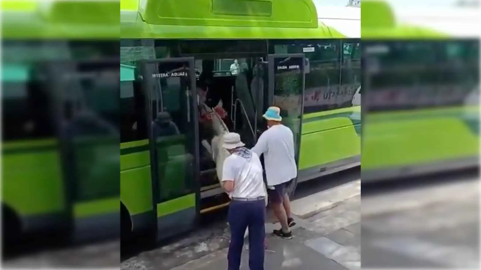 #Video: Suben a burra en autobús como parte de tradición en País Vasco y genera controversia