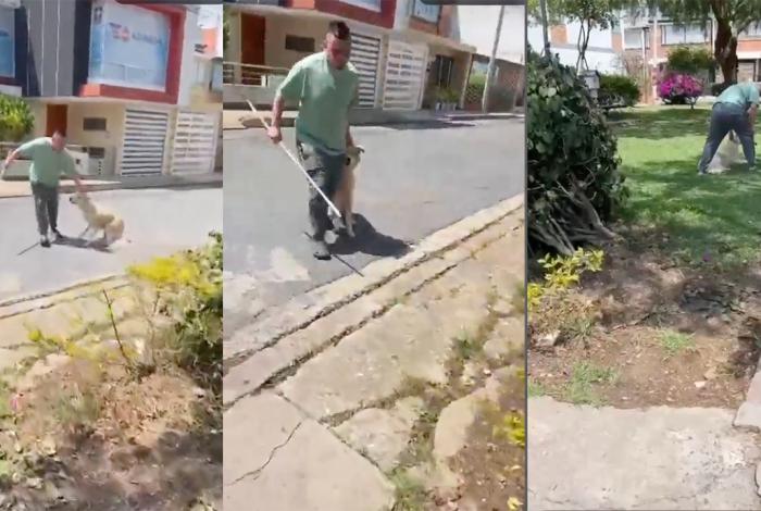 #VIDEO 😡🚨 #URGENTE | Sujeto golpea brutalmente a un perrito en parque de Tunja y lo graban en video 💔🐶
