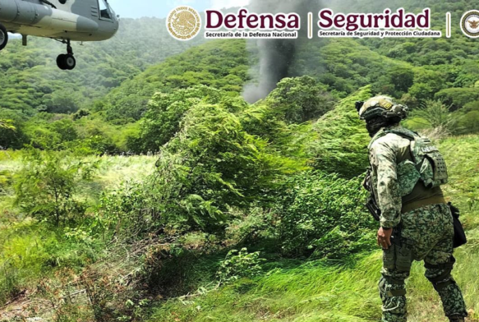 #Videos | Autoridades inhabilitan tres laboratorios clandestinos en la zona serrana de Guerrero