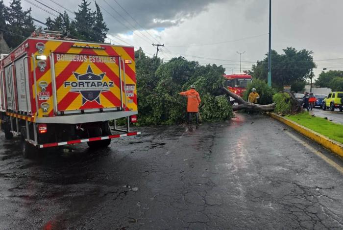 #Videos | Tormenta del sábado equivale a 21 días de lluvias: Protección Civil y Bomberos de Morelia