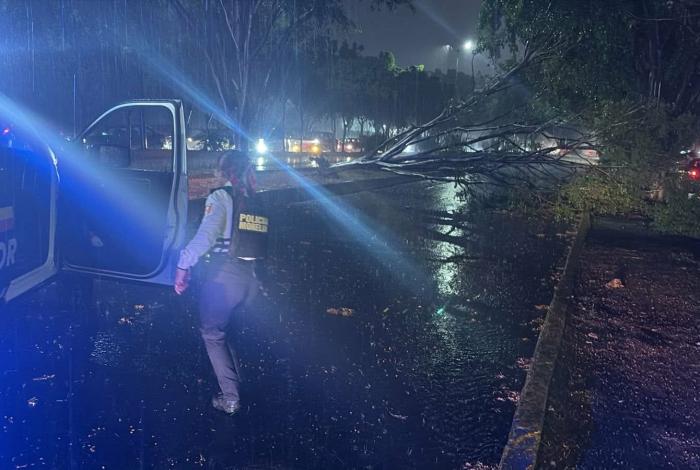 #Videos | ¡Urgente! Tormenta eléctrica provoca caída de árboles, inundaciones y cortes de energía en Morelia