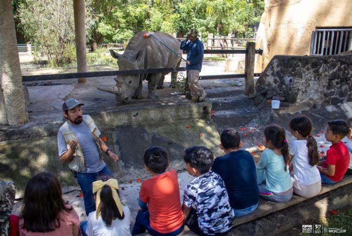 ¡Vive la experiencia! Zoo Morelia te invita a Un día en el Aula Viva