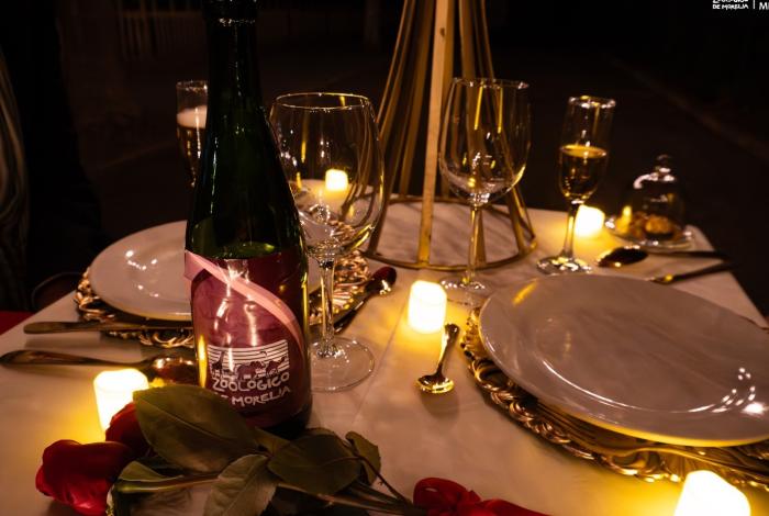 Vive una cena romántica bajo las estrellas en el Zoológico de Morelia