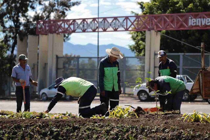 Vivero Municipal, pieza fundamental en la mejora de la imagen urbana de Morelia