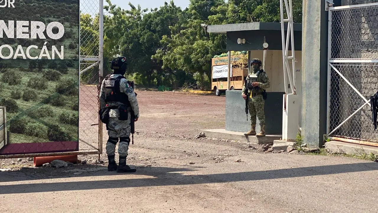 Vulnerables los productores de tierra caliente por las minas terrestres