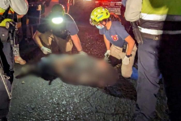 Zamora: Hombre y mujer son atropellados en la 20 de Noviembre