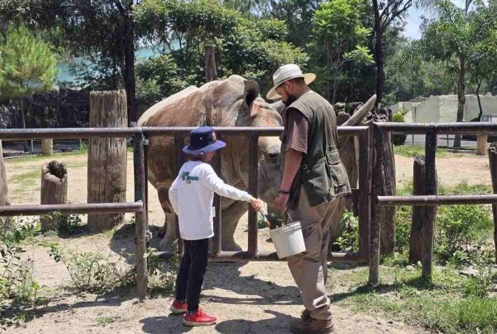 Zoológico de Morelia ofrece una aventura educativa este viernes
