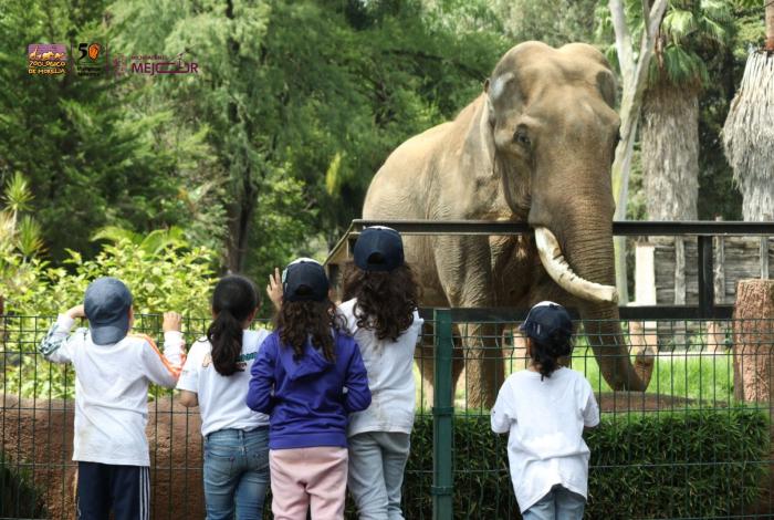 Zoológico de Morelia te espera el viernes 30 de mayo para un día en el aula viva
