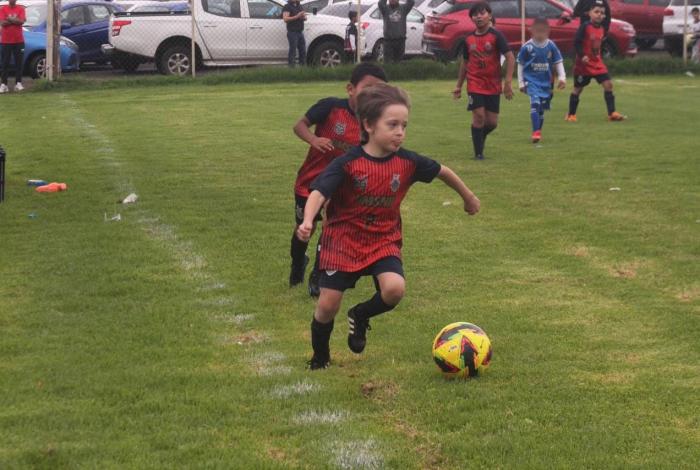 Zorritos de la UMSNH son subcampeones de la Categoría Mini-Ponys
